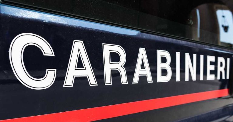 NAS di Padova: virus della peste suina in alimenti provenienti dalla Cina scoperti in un accertamento