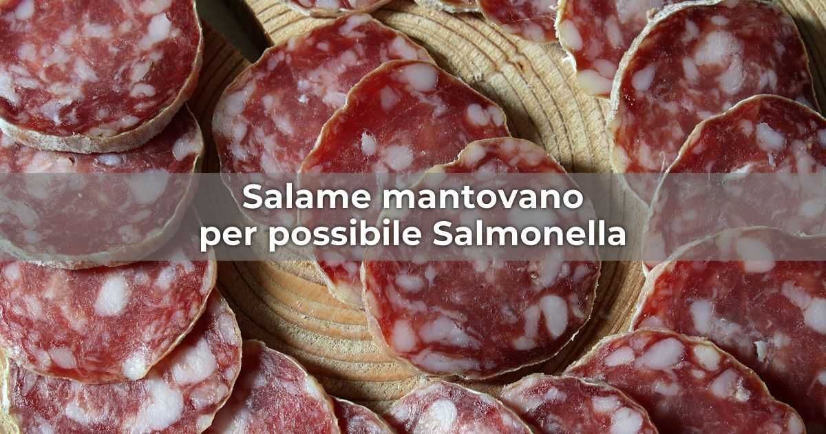 Richiamo di salame mantovano per possibile Salmonella