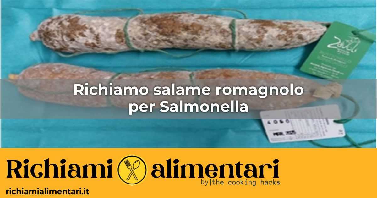 Ministero della Salute richiama salame romagnolo: presenza di Salmonella